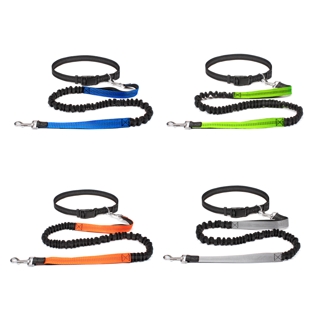حزام كلب بدون استخدام اليدين ل - مراجعة Running Gear Belt وسعره